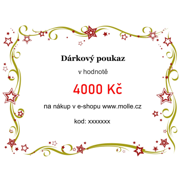 Elektronický darčekový poukaz v hodnote 164€