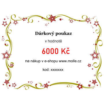 Elektronický darčekový poukaz v hodnote 246€